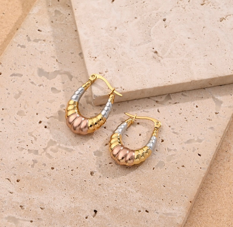Tricolore Earrings