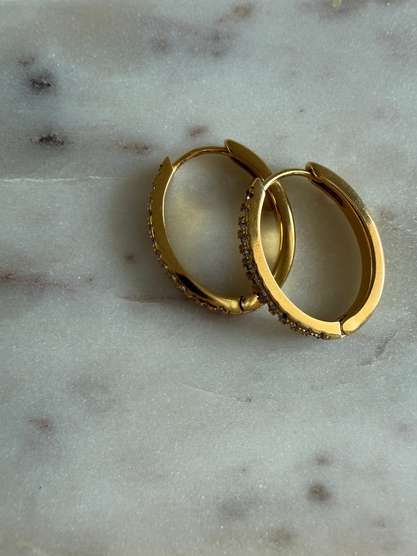 Samira Steel Earrings