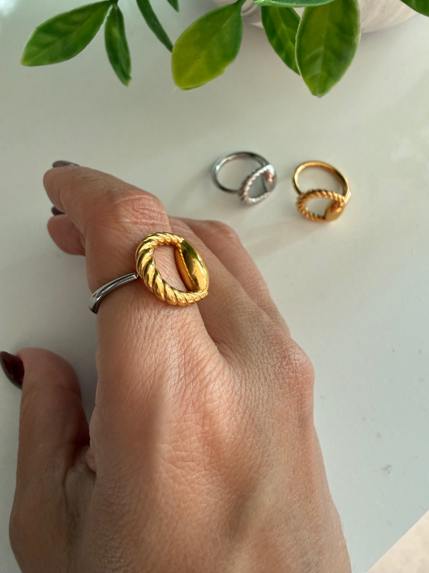 Royal Stainless Steel Ring