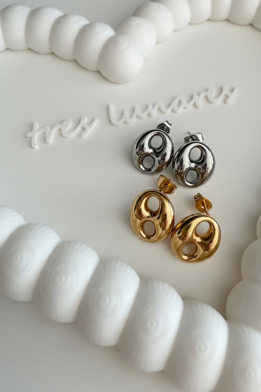 Grecy Steel Earrings