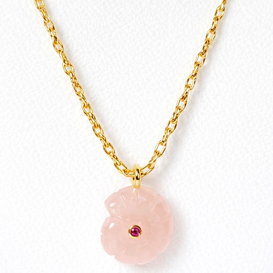 Precious Shell Necklace